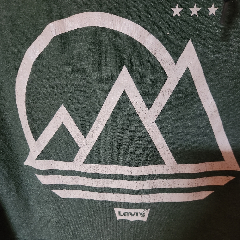 Levi's Forest Green and Charcoal Hoodie - Picture 4 of 5